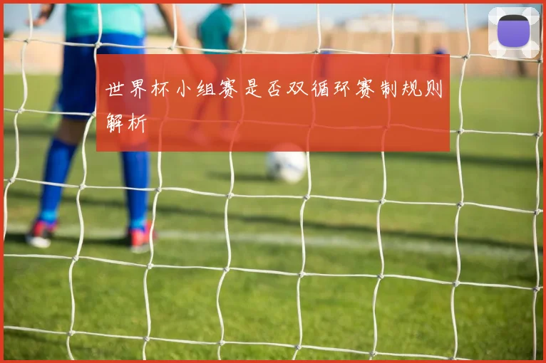 世界杯小组赛是否双循环赛制规则解析