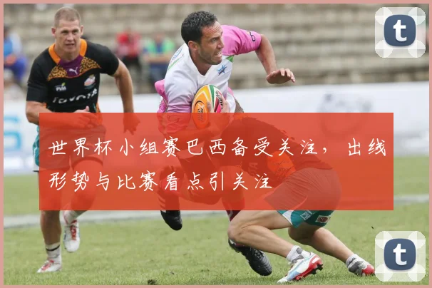 世界杯小组赛巴西备受关注，出线形势与比赛看点引关注