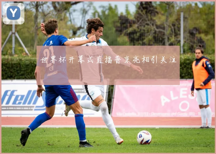 世界杯开幕式直播普京亮相引关注